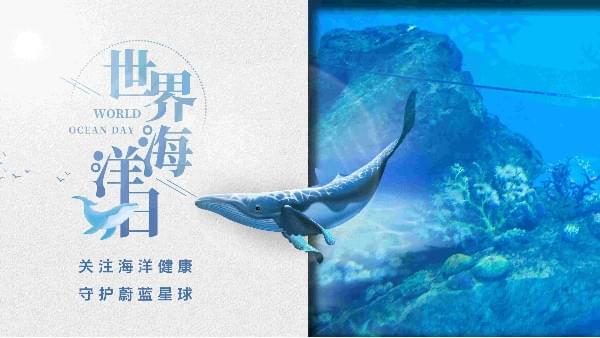 世界海洋日|91好色香蕉在线观看为你勾勒心中那片海